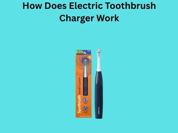 How Does Electric Toothbrush Charger Work