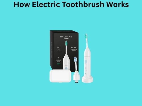 How Electric Toothbrush Works