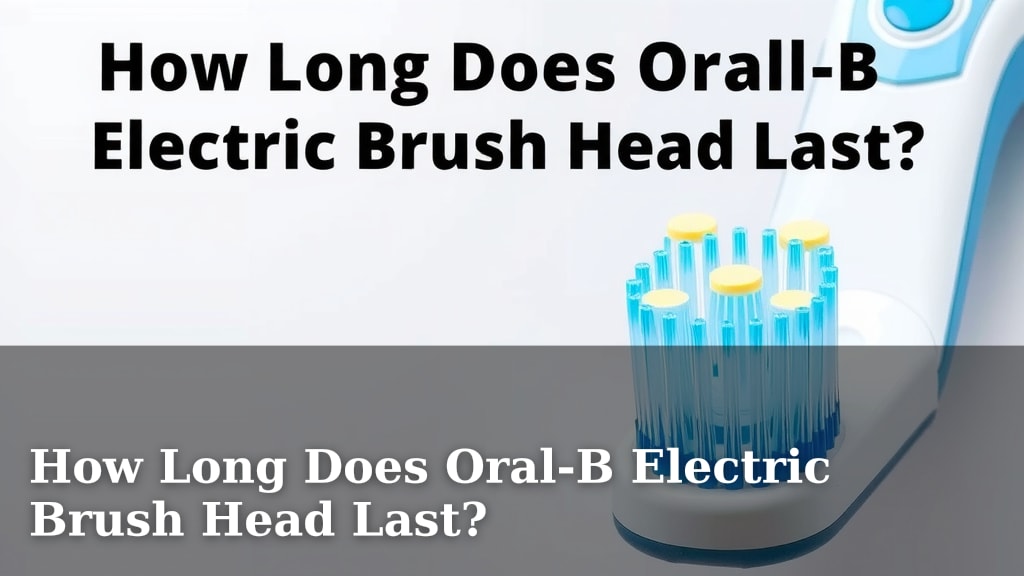 How Long Does Oral-B Electric Brush Head Last?